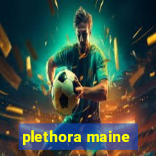 plethora maine